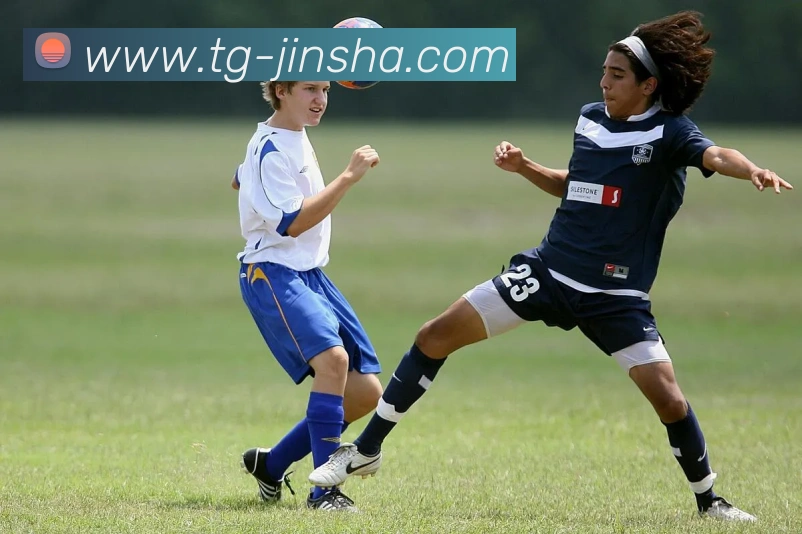 金沙国际APP 封面图